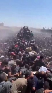 Иллюстрация 1