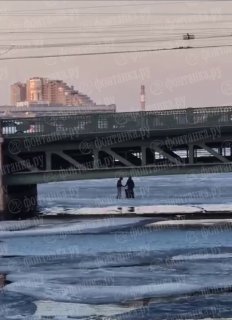 Вредные советы Григория Остера: как быстрее достать упавшее в Неву