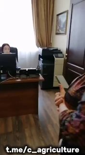 Министр сельского хозяйства сбежал от фермера, чей скот уничтожили власти