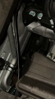 Полчища крыс наводнили московский ЖК: жильцов оставили без помощи коммунальщиков