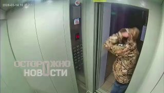 Иллюстрация 4