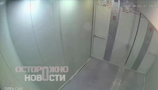 Иллюстрация 6