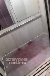 Иллюстрация 1