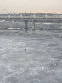 Тепловые рекорды и запрет МЧС на выход на лёд