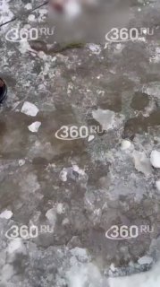 Ледяная глыба придавила семью с собакой в Нижней Туре: бабушка в реанимации