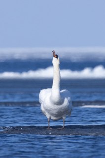 Иллюстрация 2