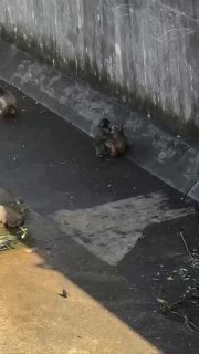 Иллюстрация 2