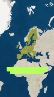 Масштабное отключение в Испании: причина в ВИЭ