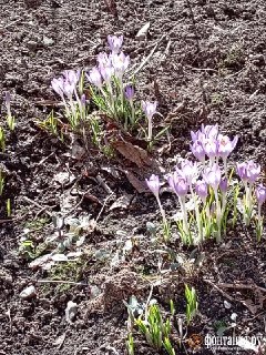 Тепло задерживается в Петербурге, но скоро уйдет: прогноз на ближайшие дни