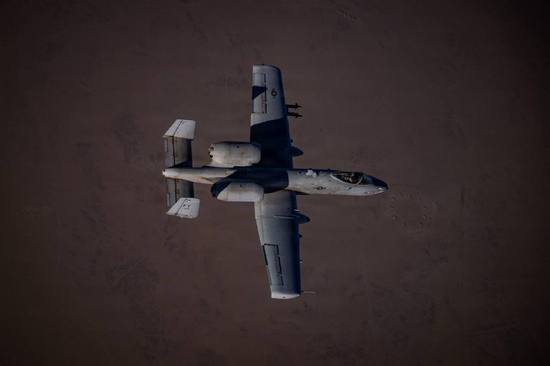 Иллюстрация 3