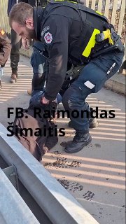 Иллюстрация 1