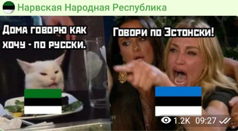 Спецслужбы Эстонии испугались Telegram-канала с мемами и объявили о «военной агрессии»