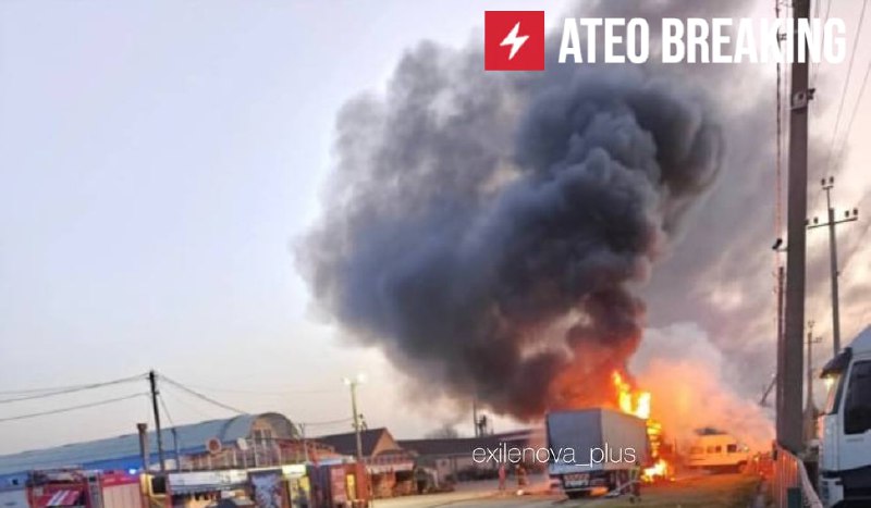 Иллюстрация 2