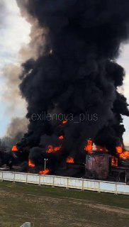 Иллюстрация 3