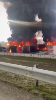 Иллюстрация 1