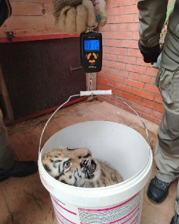 Иллюстрация 2