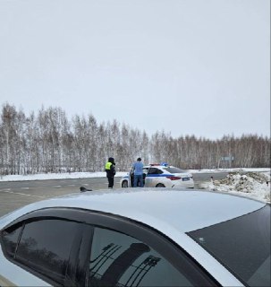 В Новосибирской области перекрыли въезд в поселки на фоне протеста фермеров из-за уничтожения скота