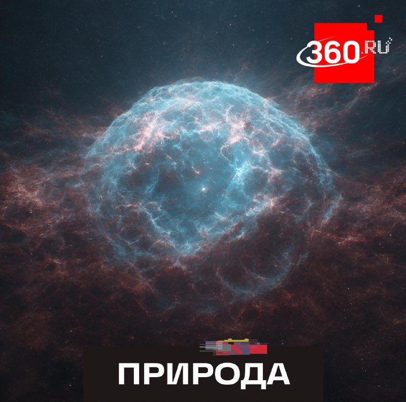 Астрономы обнаружили вспышку в момент гибели звезды