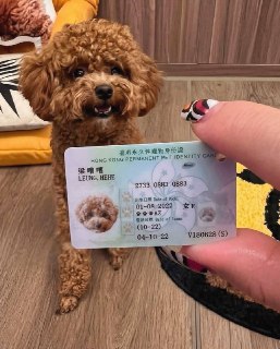 Иллюстрация 2