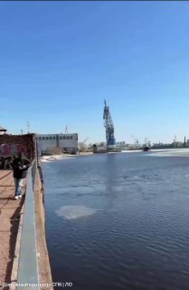 Спасли шестерых детей, отправившихся на льдине в Финский залив