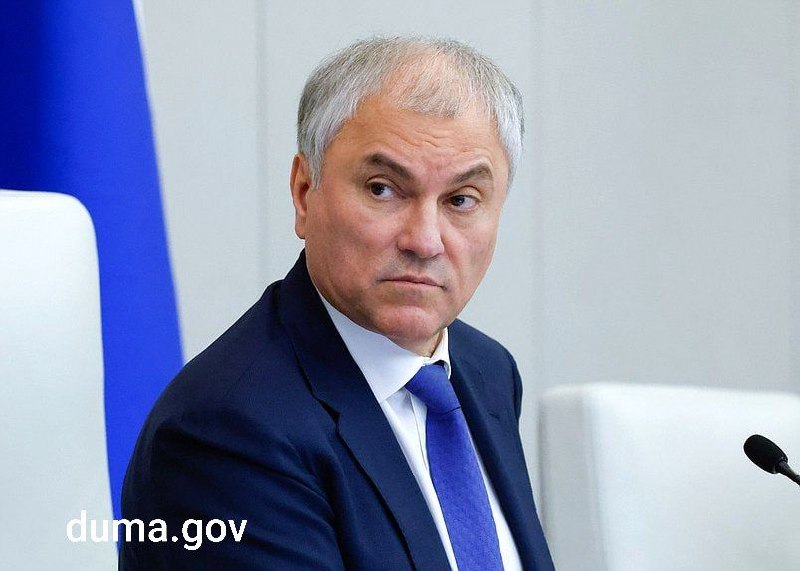 Володин попросил депутатов критиковать его ради эффективности