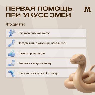 Змеи проснулись в Москве: что делать при встрече