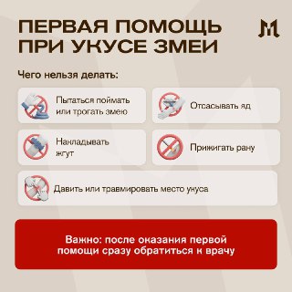 Иллюстрация 2
