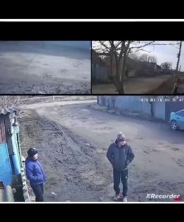 Люди Z. Заповедник здравого смысла