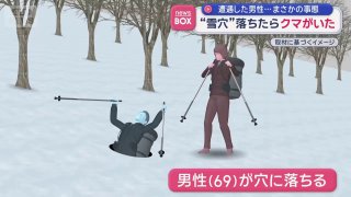 Японец избил медведя палками для ходьбы после нападения в берлоге