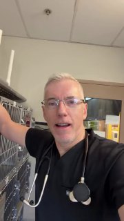 Врачи спасли котенка, похожего на воздушный шарик