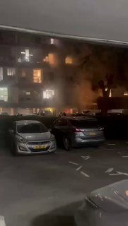 Иллюстрация 6