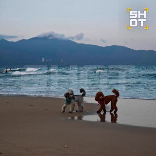 Иллюстрация 1