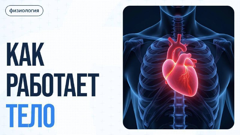 Секрет китайского долголетия: почему они живут дольше всех