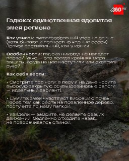 Иллюстрация 2