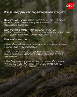 Иллюстрация 3