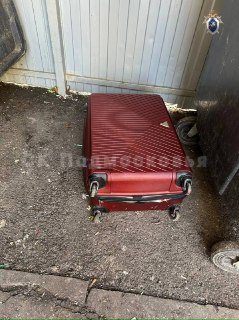 Сожитель убил и расчленил женщину в Подмосковье