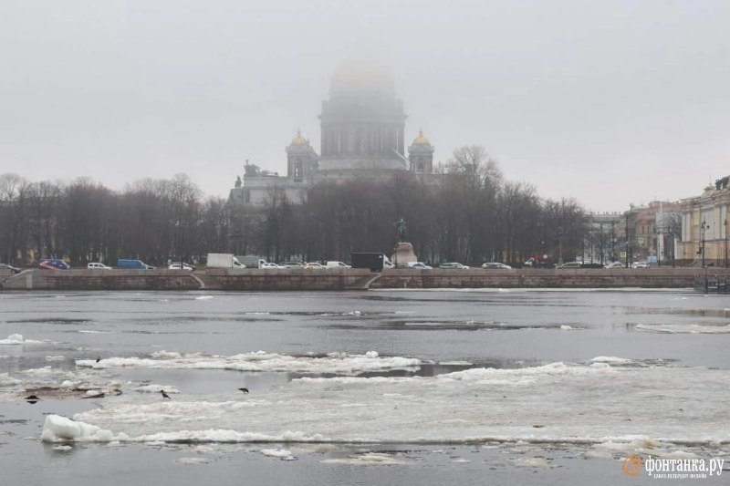 Иллюстрация 7