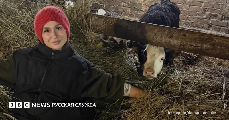 Конфликт в Новосибирской области: фермеры против властей из-за массового уничтожения скота