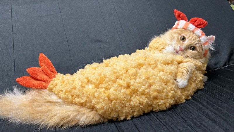 Дизайнерский костюм для кота в виде креветки в панировке