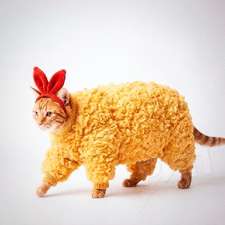 Иллюстрация 2