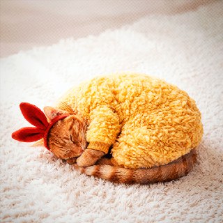 Иллюстрация 3