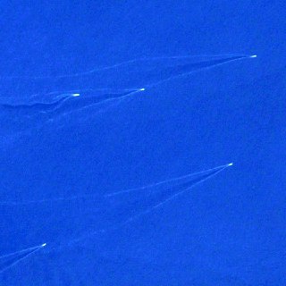 Иллюстрация 2