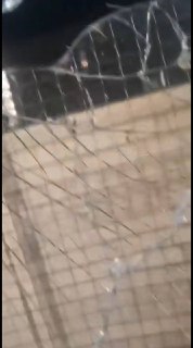 Иллюстрация 2