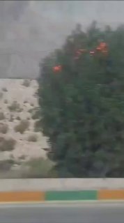 Иллюстрация 3