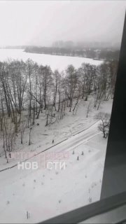Жители Воронежа пожаловались на стаи собак из питомника, которые гоняются за людьми