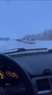 Силовиков в деревне Козиха: изъятие коров и запах горелых животных