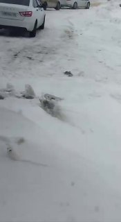 Иллюстрация 2