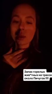 Иллюстрация 3