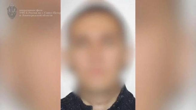 Петербуржца приговорили к году за попытку разгласить гостайну