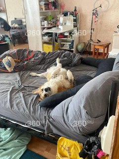 Иллюстрация 2